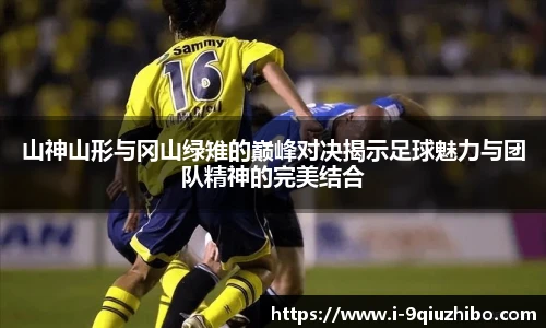 山神山形与冈山绿雉的巅峰对决揭示足球魅力与团队精神的完美结合